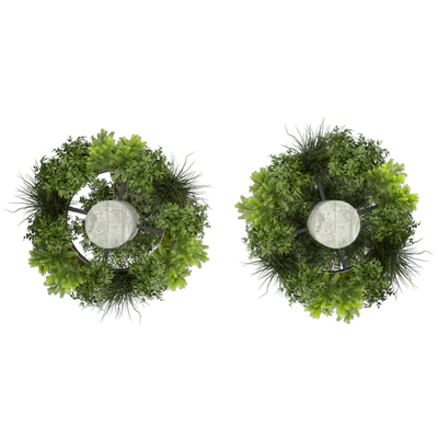 Collection plant vol 532 - bush - ampelous - column - fitowall - ivy — Вид 6