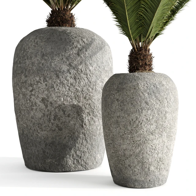 Restoration Hardware Cantera Planters With Sago Palm — Descargar