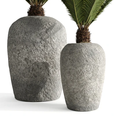 Restoration Hardware Cantera Planters With Sago Palm — Ver 4