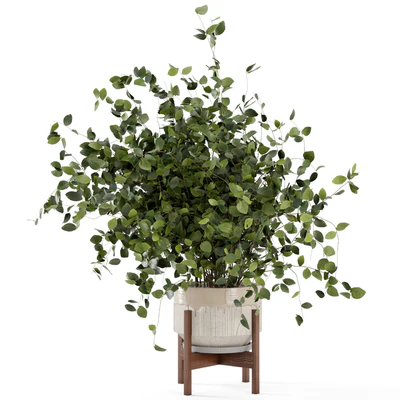 Indoor Plants in rusty Concrete Pot - Set 280 — Вид 3
