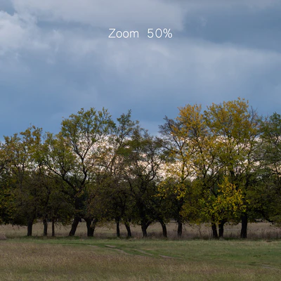 Cloudy panorama with autumn trees. 2 pcs — Ver 4