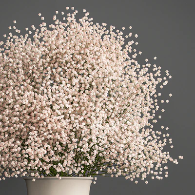 Bouquet of white flowers in a vase with Gypsophila, Gibsolyubka, Kachim. 201. — Ver 3