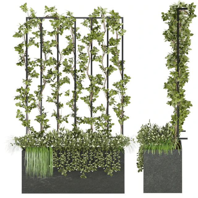 Collection plant vol 36 — Скачать