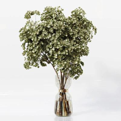 Collection Indoor Plants 041 — Вид 3