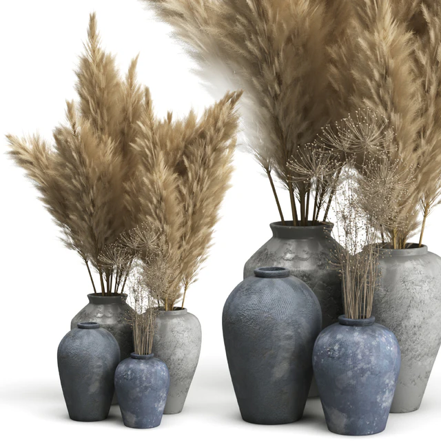 Decorative set of Clay Vases and Pampas Grass — Descargar