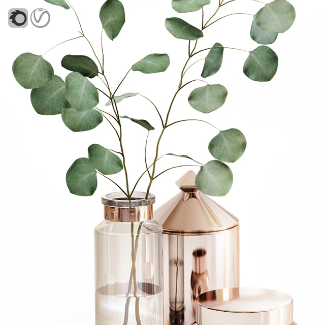 Eucalyptus 1 — Скачать