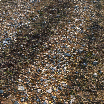 Dirt road material 03 — Ver 3