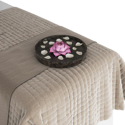 Massage table — Вид 4