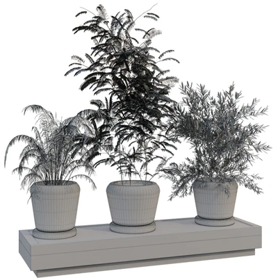 green plant in box 269 — Вид 4