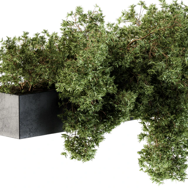 Outdoor Plant Set 103 - Hanging Plants — Скачать