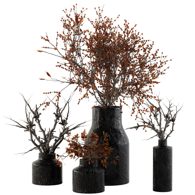 Bouquet Set 11 - Dried Branch and Berry — Скачать