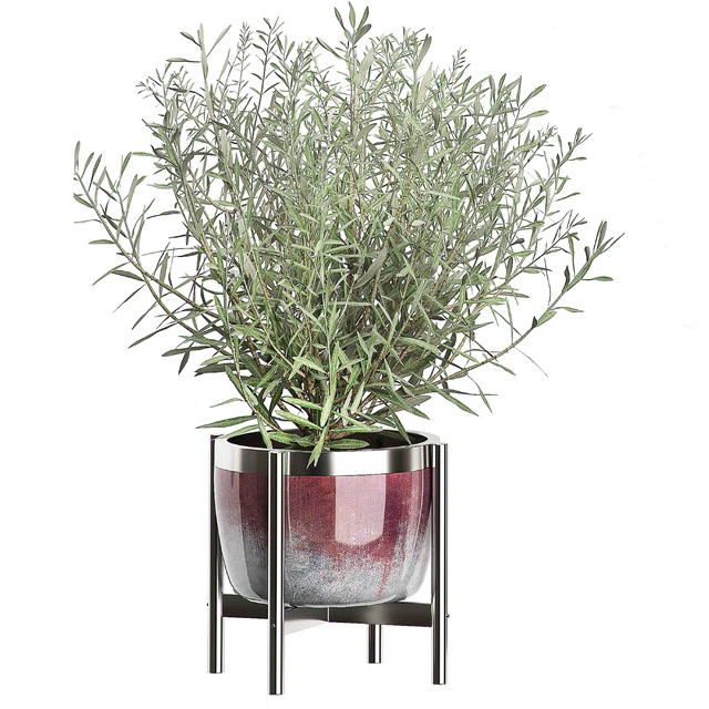 INTERIOR OLIVE TREE PACK 66 — Скачать