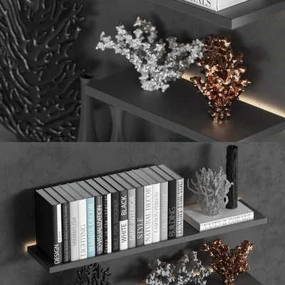 Decorative set of coral books and vases — Ver 2