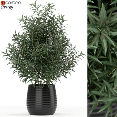 Plants collection 167 — Ver 1