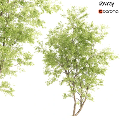 jam tree — Ver 1