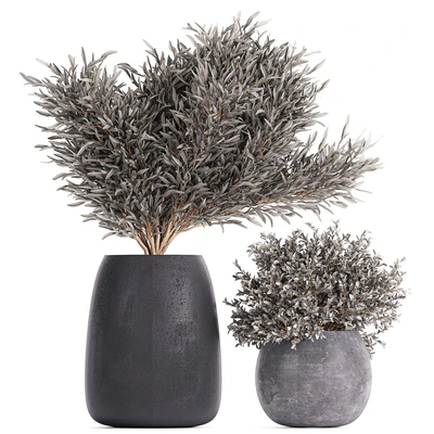 Plant collection 812. olive, outdoor flowerpot, bushes, black pot, tree, bushes, concrete — Ver 5