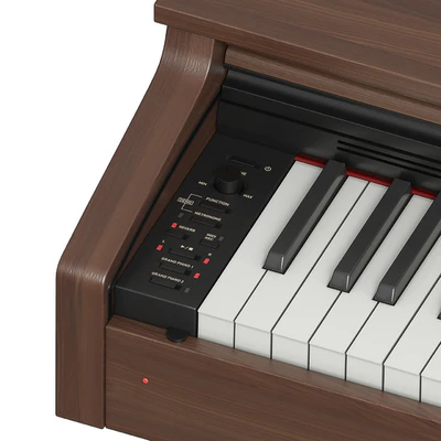 Casio Celviano AP-270 — Ver 4