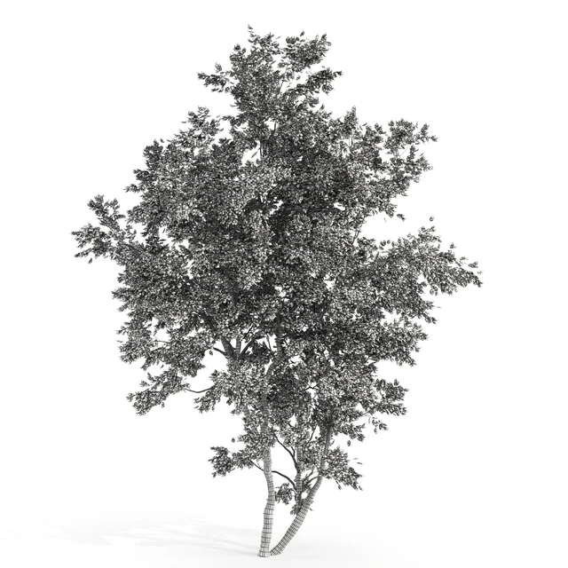 jam tree — Descargar