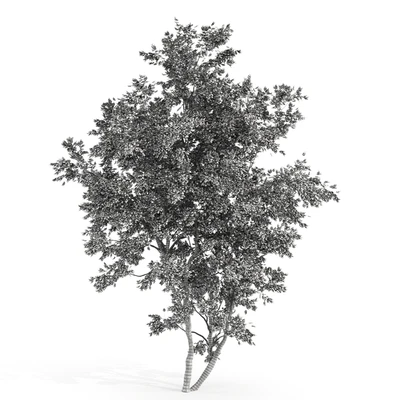jam tree — Ver 2