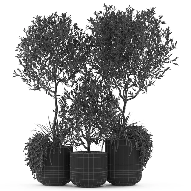 Plants collection 494 — Descargar