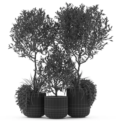 Plants collection 494 — Ver 3