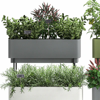 Collection of potted plants Kitchen garden, vegetables, tomatoes, peppers, herbs, Rosemary, lettuce, Lettuce, garden bed. Set 1059. — Ver 3