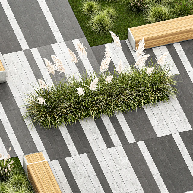 Plants for the urban environment with paving slabs, bench, bench, pampas grass bushes, Cortaderia. 1151. — Descargar