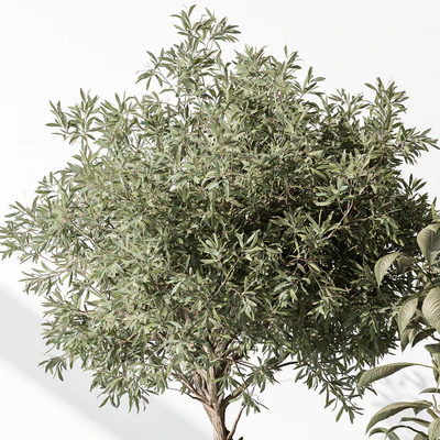 Indoor Plant 531 -Tree in Pot — Ver 3
