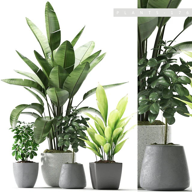 Plants 176 — Скачать