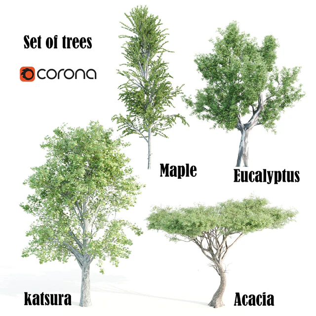 set of tree05 — Скачать