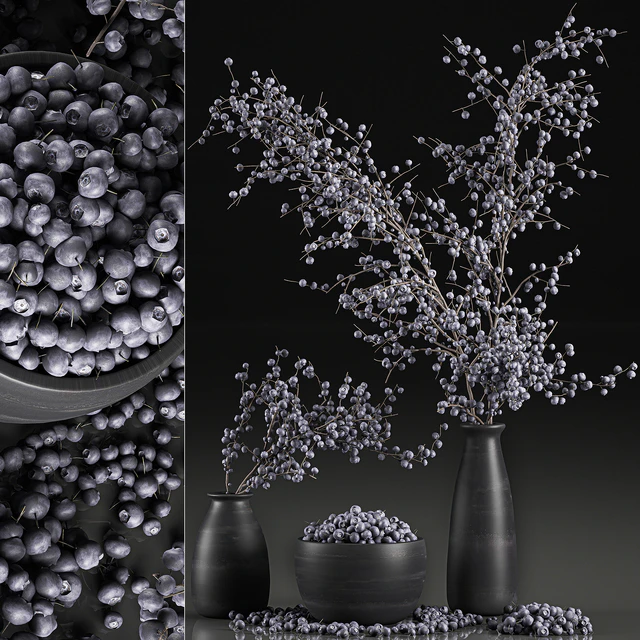 A collection of bouquets of branches with blueberries in black vases with blueberries, a bowl with berries, natural decor. Set 549. — Descargar