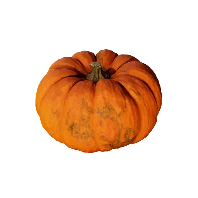 pumpkin 003 — Скачать