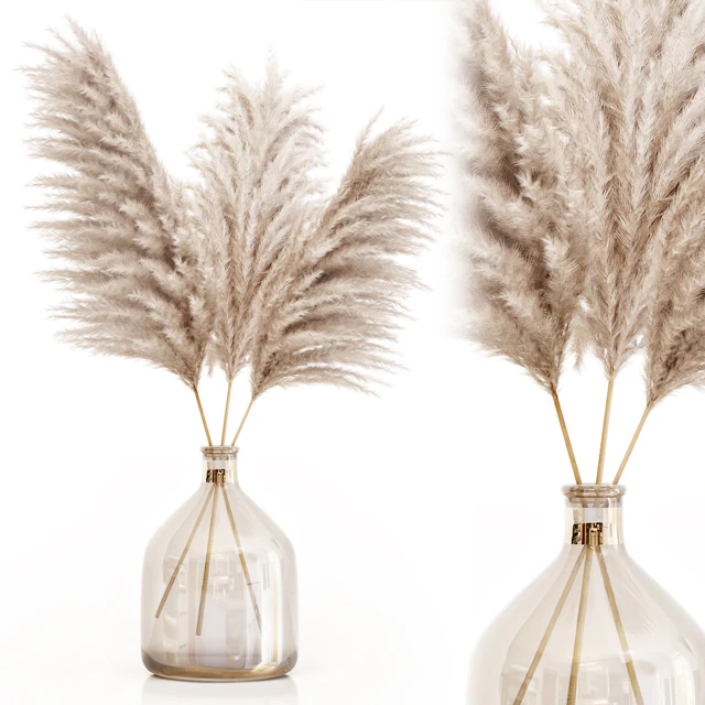 Pampas grass in glass vase 7 — Скачать