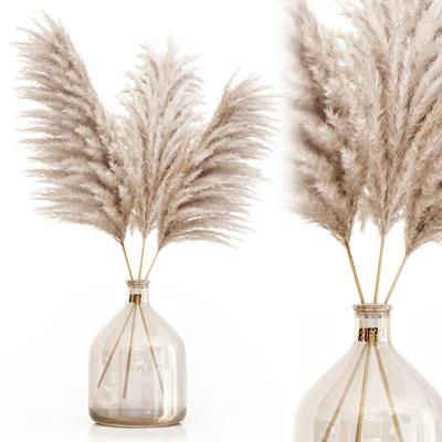Pampas grass in glass vase 7 — Вид 1