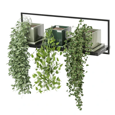 indoor plants in rusty concrete pot on metal shelf - Set 107 — Вид 4