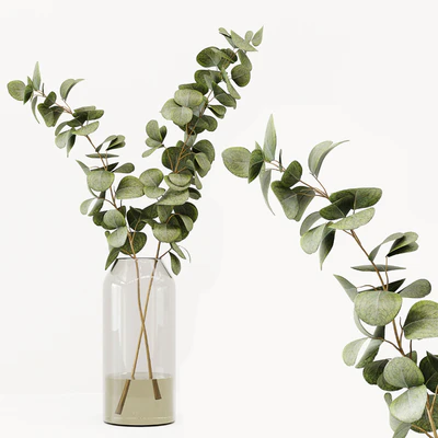 Collaction Indoor Plants 022 — Вид 4