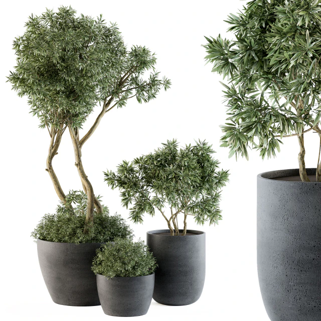 Outdoor Plants Tree in pot - Set 90 — Скачать