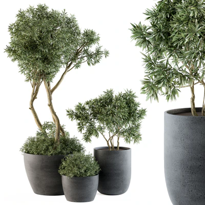 Outdoor Plants Tree in pot - Set 90 — Вид 1