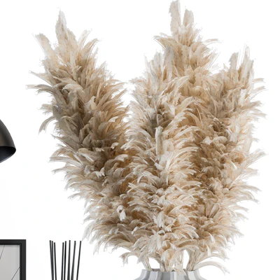Decorative Set Pampas — Вид 2