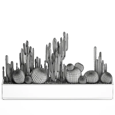 Collection of desert plants in a vase of cacti, cereus and echinocactus, barrel cactus. Set 1097. — Ver 2