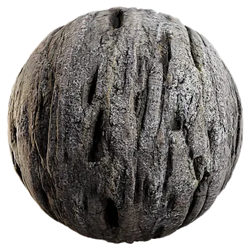 beech bark 009 — Descargar