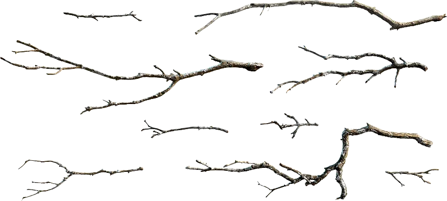 dead branches 001 — Скачать