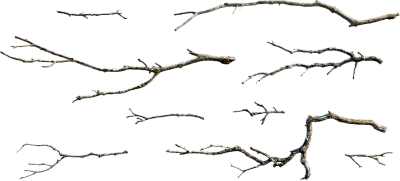 dead branches 001 — Скачать