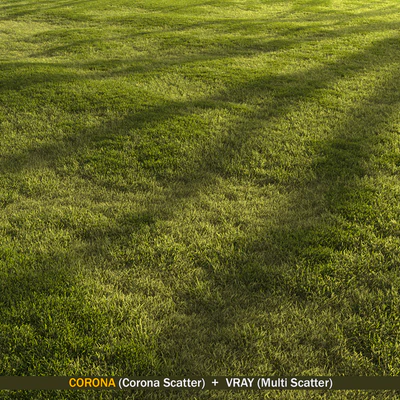 Forest grass — Ver 1