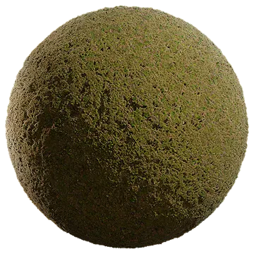 mossy ground 022 — Descargar