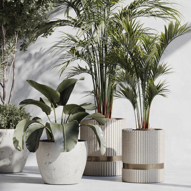 Indoor Plant Set 89 — Скачать