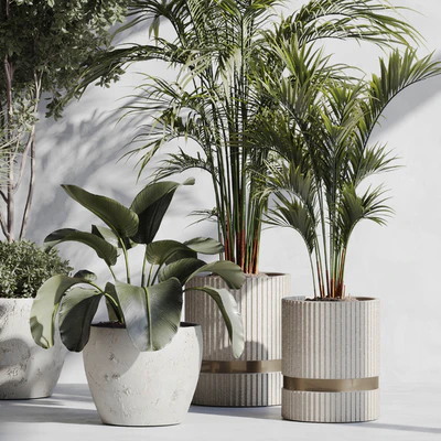 Indoor Plant Set 89 — Вид 3