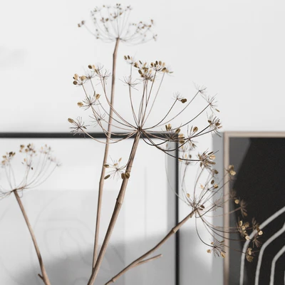 Decorative Set 37 — View 2