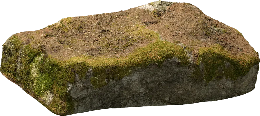 nordic forest ledge rock medium 003 — Скачать