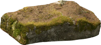 nordic forest ledge rock medium 003 — Скачать